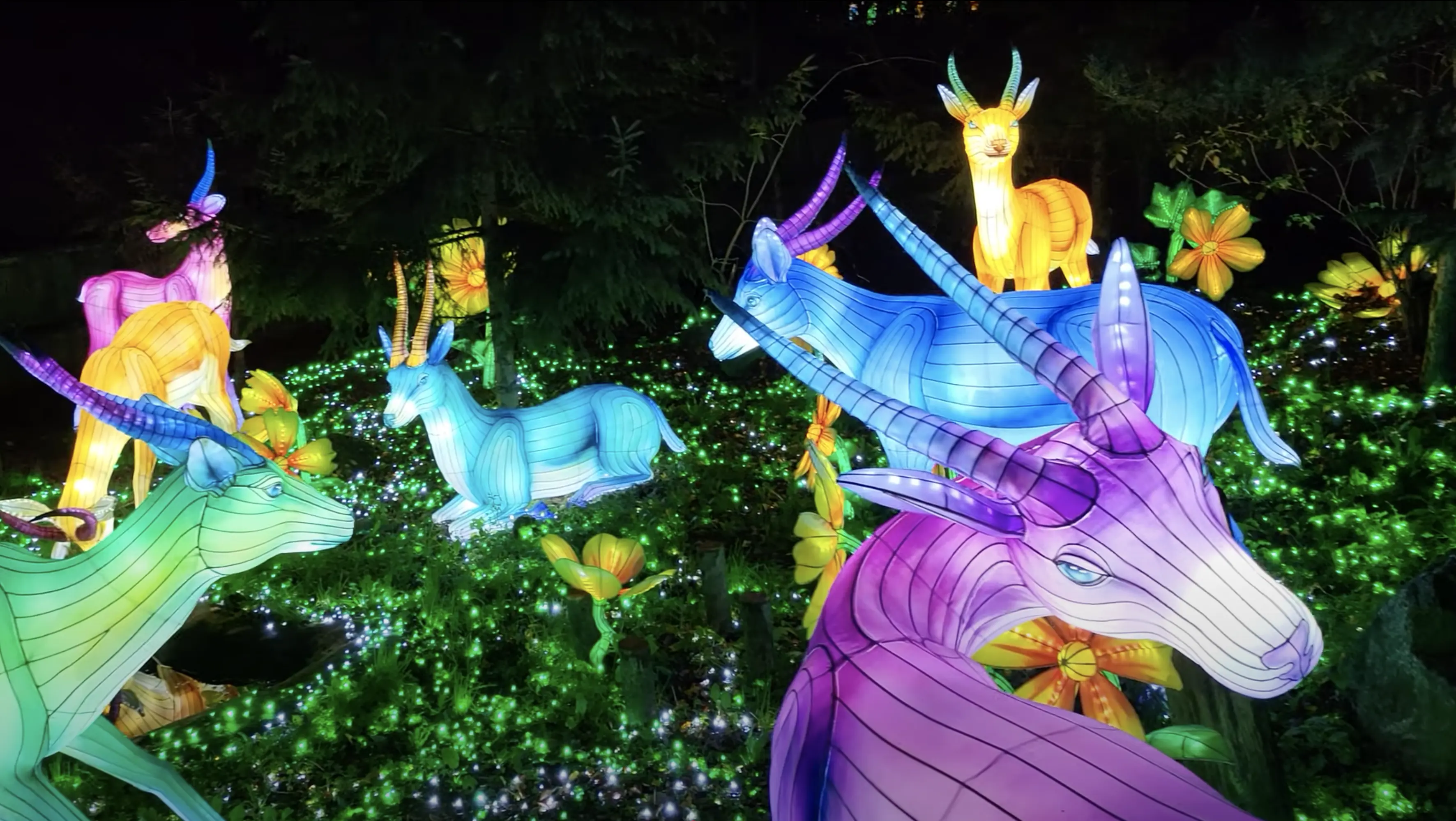 Main festival installation