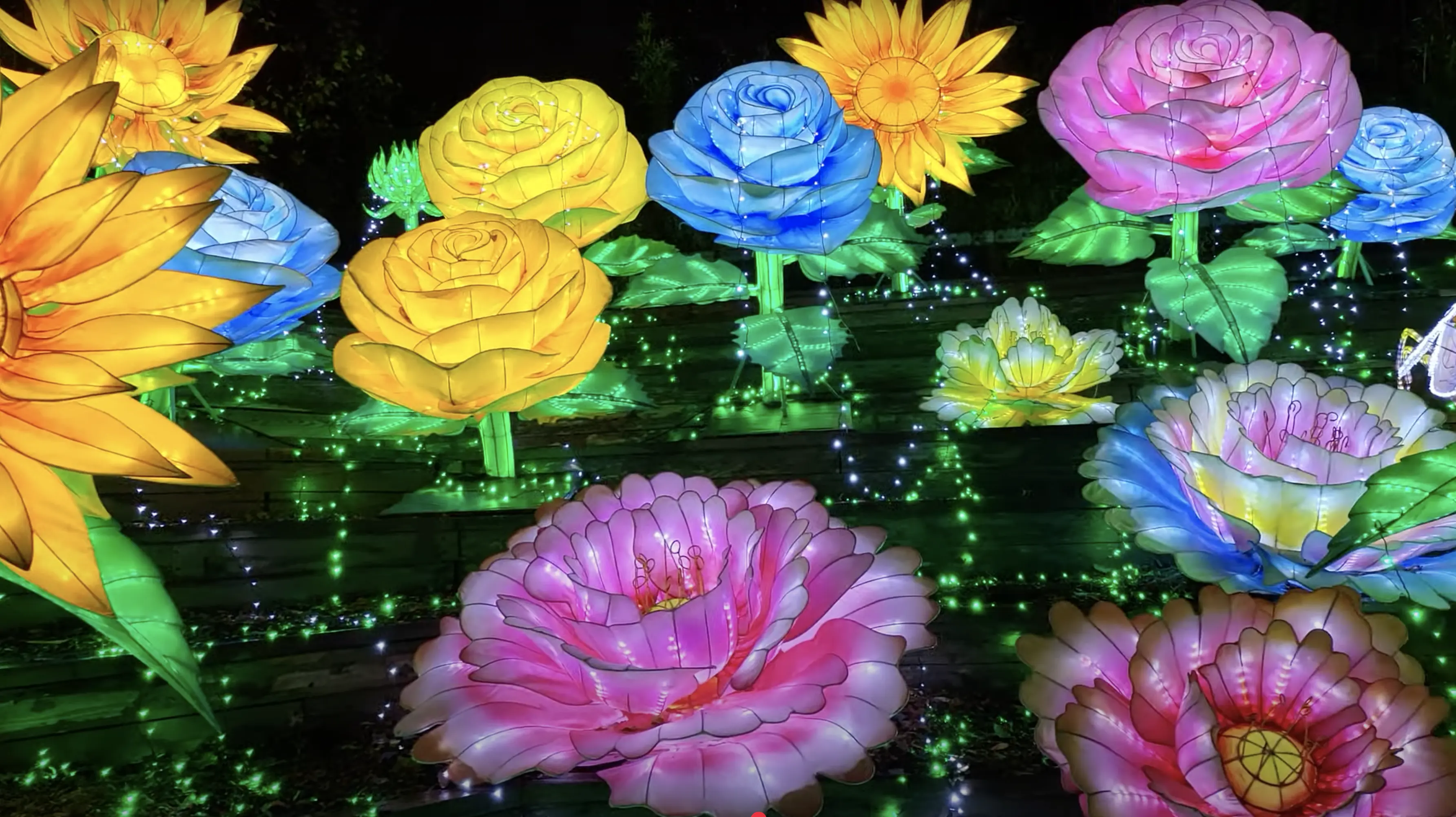 Festival performance